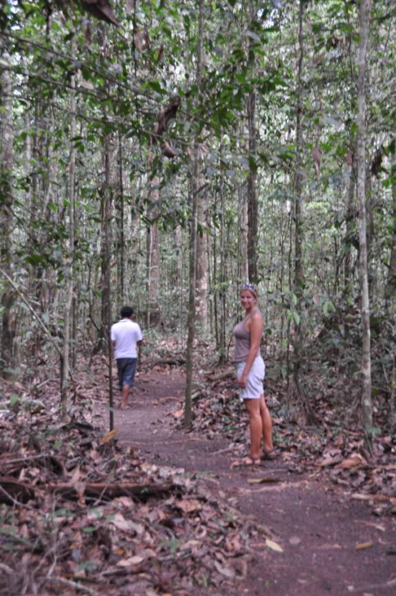 Caminhando na mata na reserva de Iwokrama, na Guiana